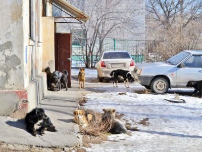 Фото: Олеся Ходунова / АиФ-Волгоград