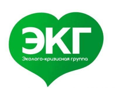 Логотип "Эколого-кризисной группы"